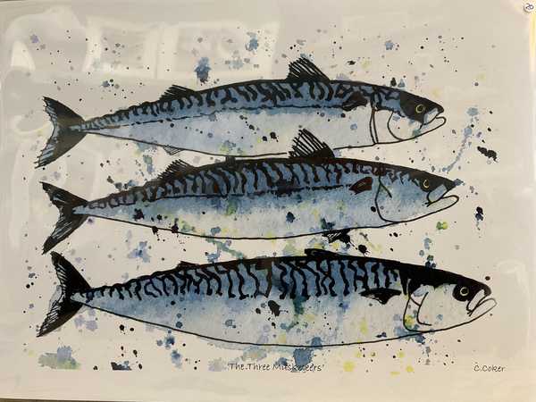 Three mackerel art  print