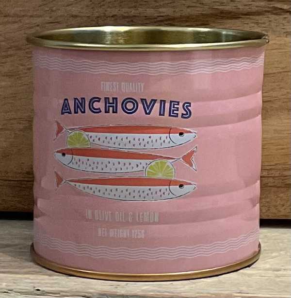 Small anchovies storage tin
