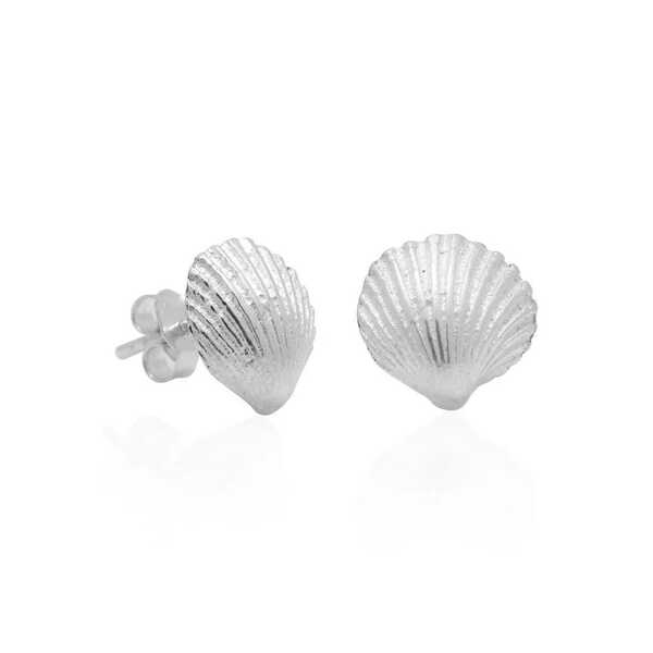 Cockle shell design sterling silver stud earrings 
