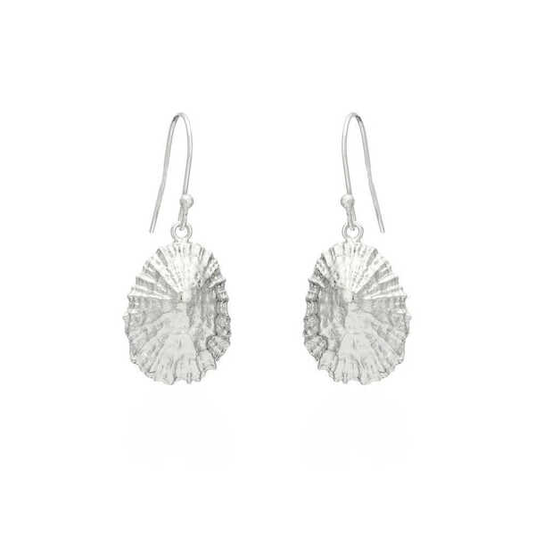 Limpet shell design sterling silver drop earrings